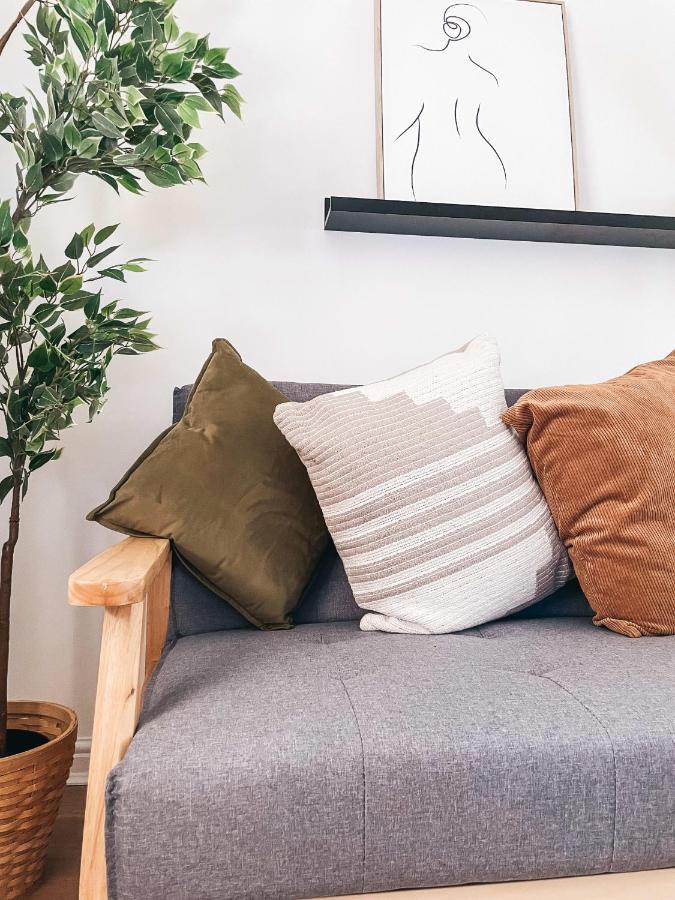 Hollybush Apartment, By Solace Stays نيوبورت المظهر الخارجي الصورة